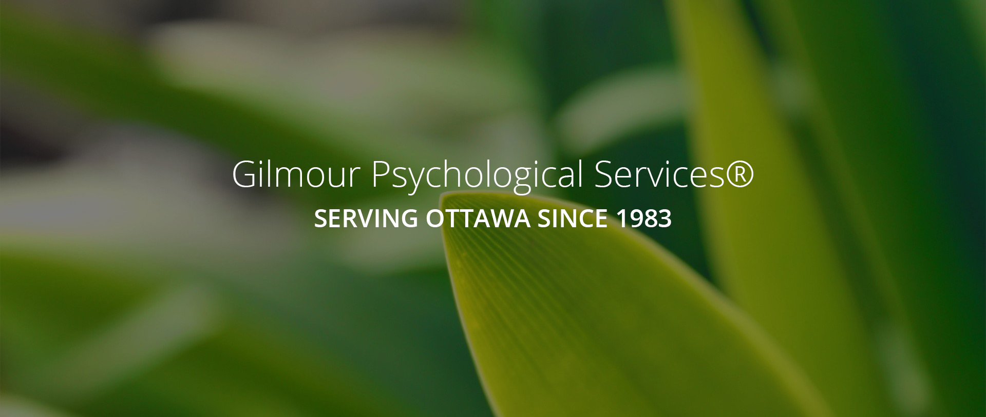 Digital Marketing for Gilmour