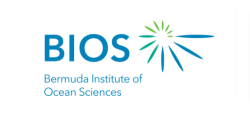 BIOS
