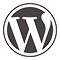 SEO Analysis